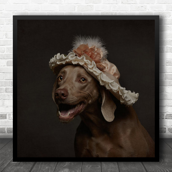 Dog Hat Dogs Animal Animals Pet Pets Fun Funny Humour Humour Roos Square Wall Art Print