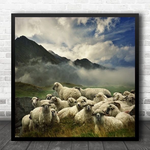 Mountain Landscape Animal Fog Clouds Sky Field Lamb Sheep Cattle Square Wall Art Print