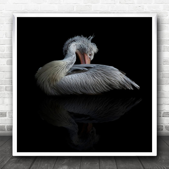 Dark Low-Key Bird Birds Animal Animals Reflection No Background Square Wall Art Print