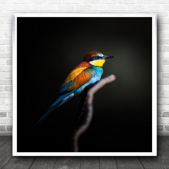 Animal Bird Colourful Feathers Rainbow Bee Eater Colour Colours Square Wall Art Print