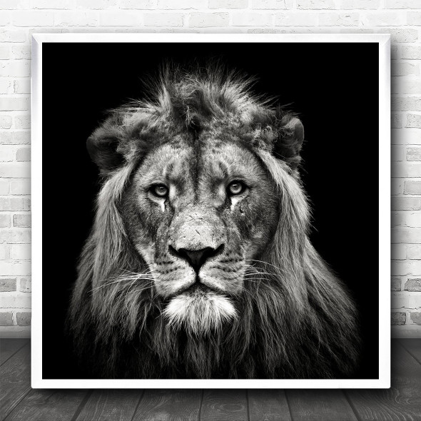 King Animal Animals Dark Low-Key Lion Feline Mane Predator Face Square Wall Art Print