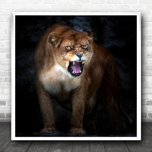 Feline Predator Animal Animals Lion Fangs Dark Low-Key Portrait Square Wall Art Print