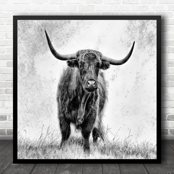 Cow Highland Highlander Horn Horns Horned Cattle Animal Animals Square Wall Art Print