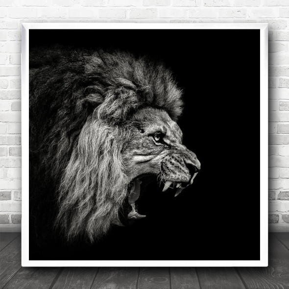 Lion Animal Feline Animals Dark Low-Key Fangs Anger Angry Lions Square Wall Art Print