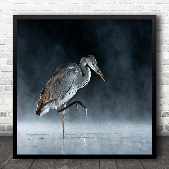 Heron Misty Nocturnal Animal Animals Fog Mist Haze Foggy Herons Square Wall Art Print