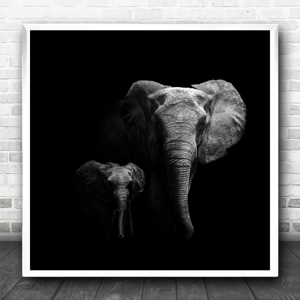 Elephants Mother Baby Cute Animals Safari Africa Elephant Dark Square Wall Art Print