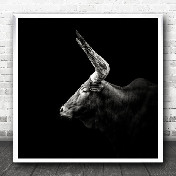 Monochrome Watusi Cattle Animal Animals Horn Horns Horned Dark Square Wall Art Print