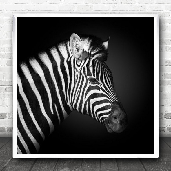 Animals Zebra Stripes Patterns Contrast Eye Creative Artistic Square Wall Art Print