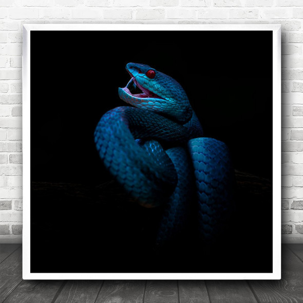 Snake Snakes Reptile Reptiles Scales Blue Animal Animals Dark Square Wall Art Print