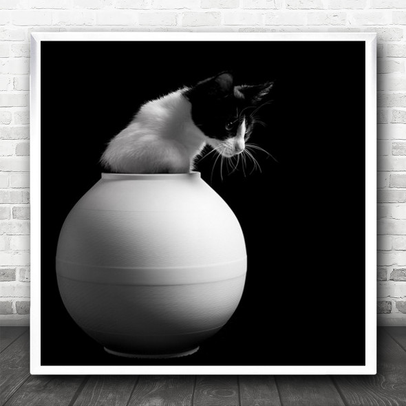 Kitty Cat Vase France Paris Humour Humour Fun Funny Pet Dark Square Wall Art Print