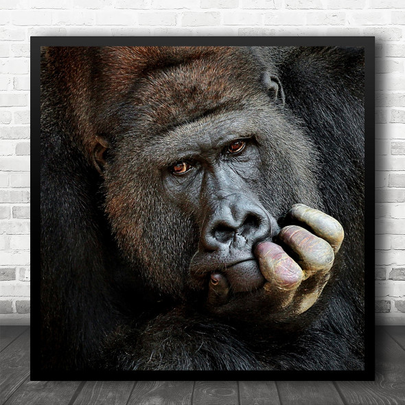 Ape Monkey Introspection Thoughtful Thinking Thinker Gorilla Square Wall Art Print