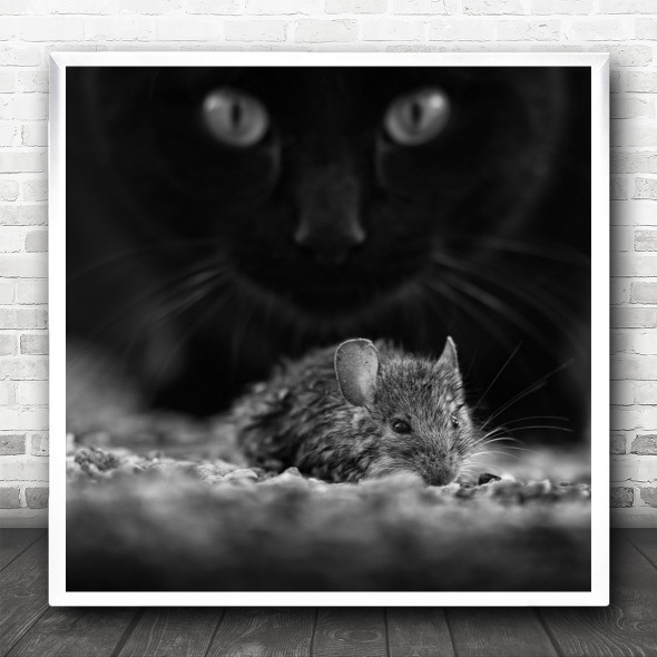 Mood Mouse Cat Animals Animal Rat Whiskers Eyes Attack Prey Square Wall Art Print