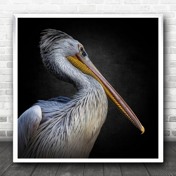 Animal Pelican Bird Animals Birds Pelicans Beak Life Iv Square Wall Art Print