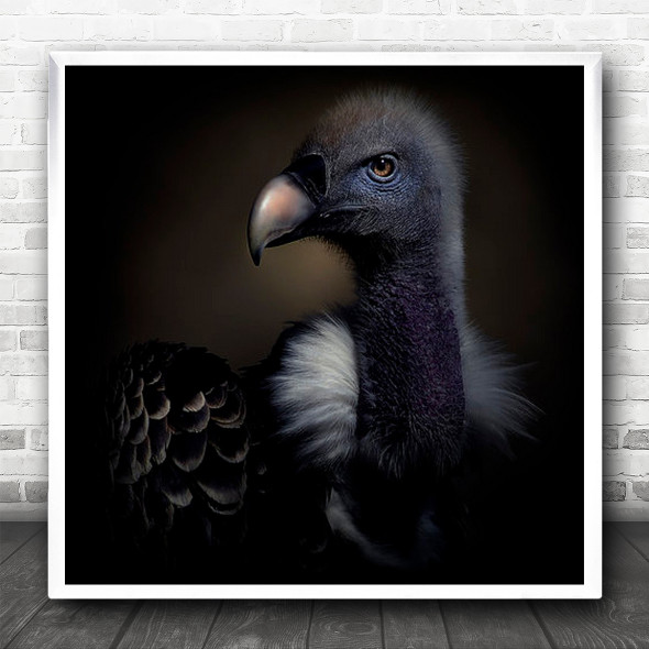 Vulture Bird Birds Beak Bokeh Animal Animals Untitled Square Wall Art Print