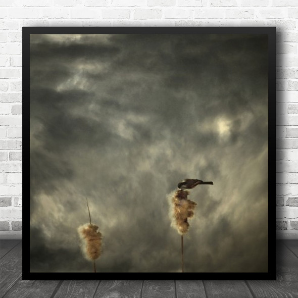 Sky Bird Painterly Clouds Cloudy Animal Animals Roost Square Wall Art Print