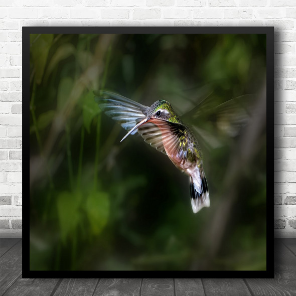 Wildlife Bird Hummingbird Wings Green Colourful Square Wall Art Print