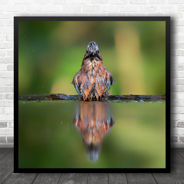 Totally Wet Colourful Bird Reflection Perched Square Wall Art Print