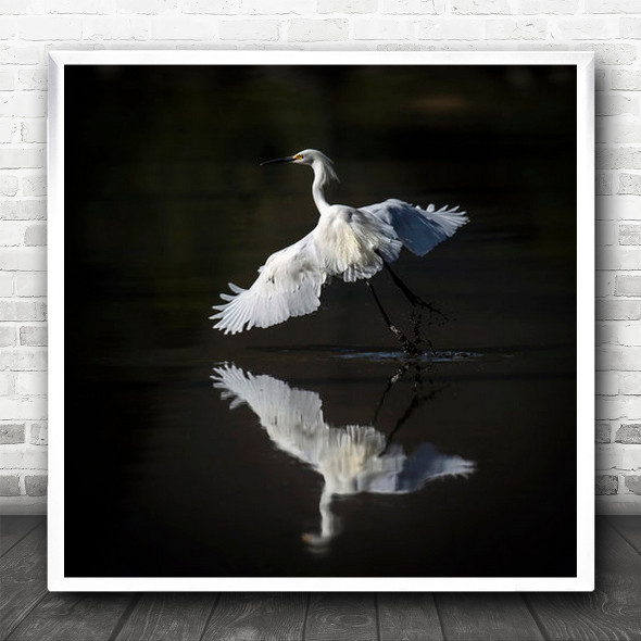 Untitled Bird Flying Wings Glide Reflection Square Wall Art Print