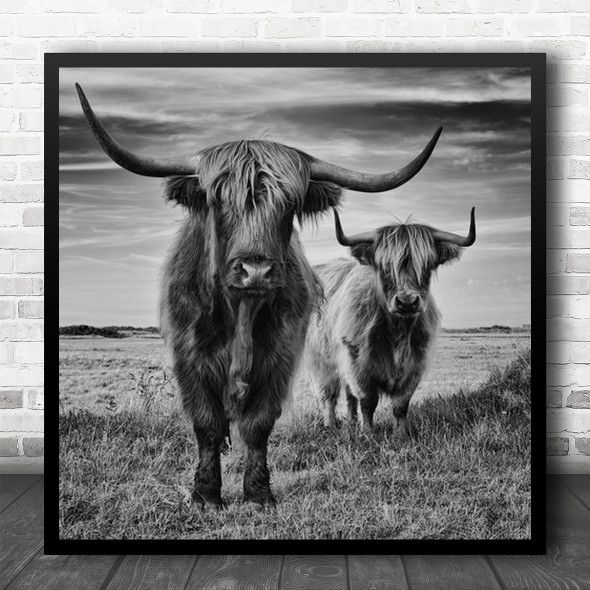 Highland Cow Together Field Black And White Square Wall Art Print