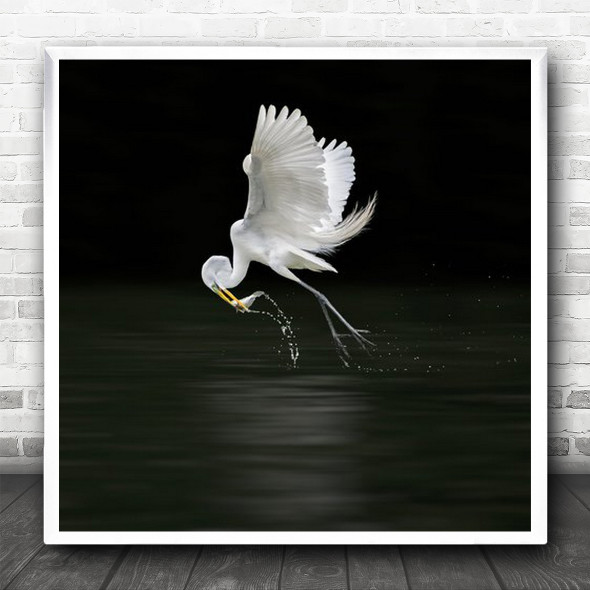 Angler Flying White Bird Catch Fish Water Square Wall Art Print