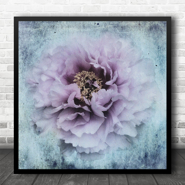 Pink Flower Grain Grainy Bloom Blossom Filter Texture Still Life Square Wall Art Print