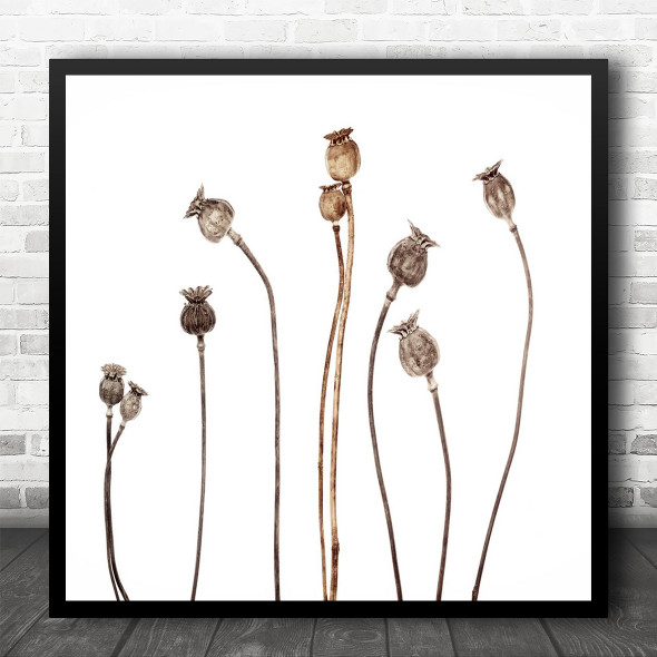 Still Life Graphic High-Key Dry Poppy Poppies Simple Minimalism Square Wall Art Print