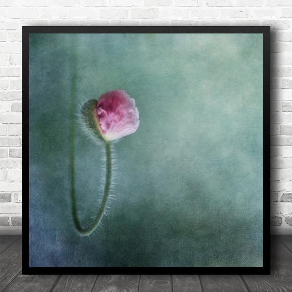 Texture Bokeh Flower Spring Blossom Macro Beginning Birth Start Square Wall Art Print