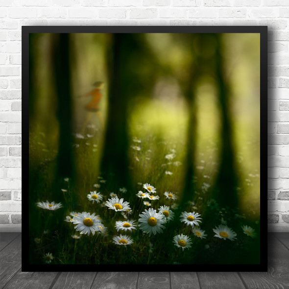 Woods Wildflowers Dryad Portland Oregon Daisy United States Square Wall Art Print