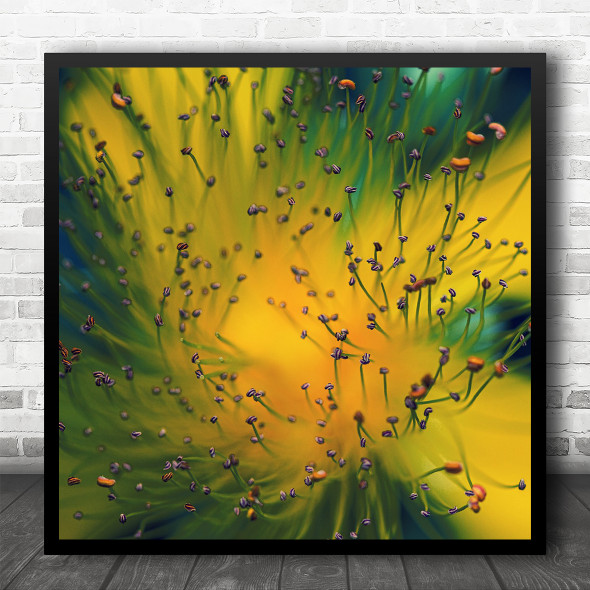 Macro Flower Summer Bokeh Yellow Pistills Blur Blurry Yolk Square Wall Art Print