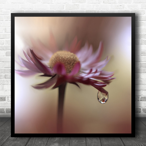 Flower Flora Floral Macro Drop Drops Droplet Soft Delicate Square Wall Art Print