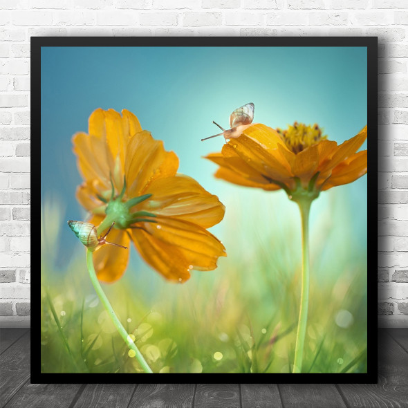 Macro Insect Tanzania Snail Snails Yellow Flowers Garden Square Wall Art Print