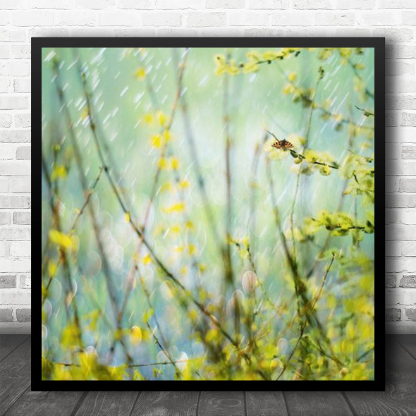 Butterfly Spring Blur Blurry Macro Graceful In Bud Square Wall Art Print