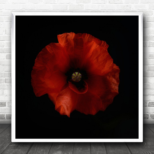 One Fresh Poppy Dark Simple Square Wall Art Print