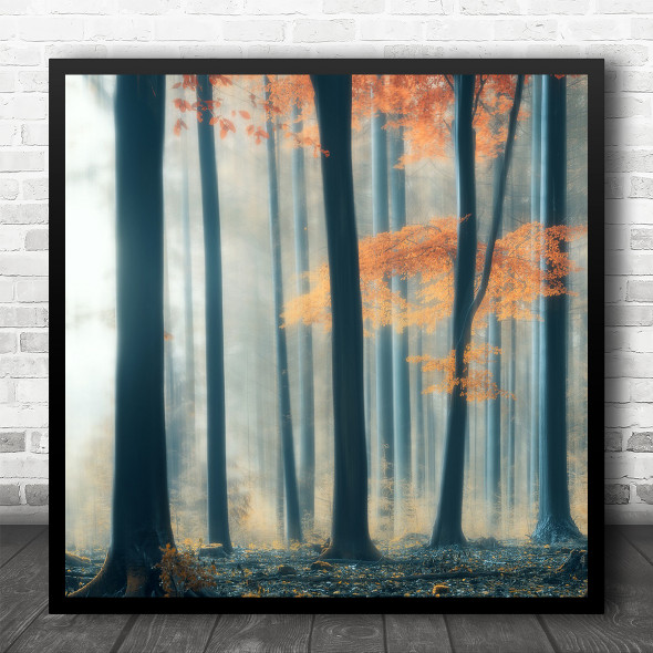 Autumn Fall Soft Forest Trees Landscape Leaves Foliage Fog Mist Square Wall Art Print