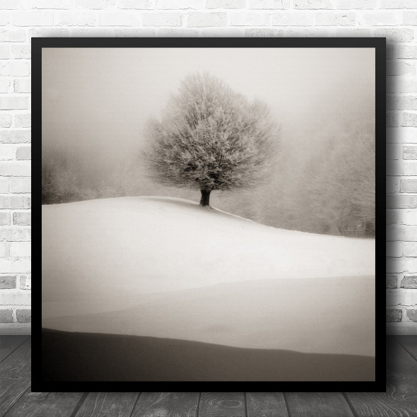 Winter Tree Snow Landscape Nature Forest Snowy Wood Misty Foggy Square Wall Art Print