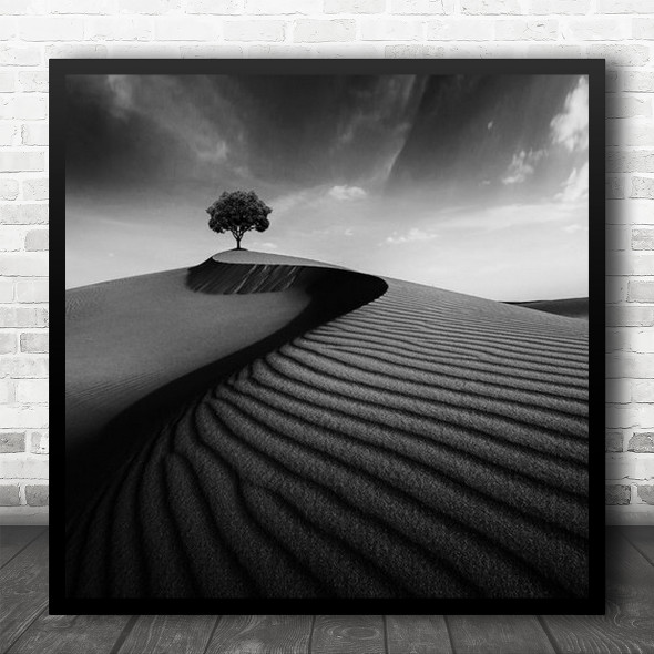 Tree Lonely Alone Landscape Desert Hill Sand Dune Dunes Tracks Square Wall Art Print