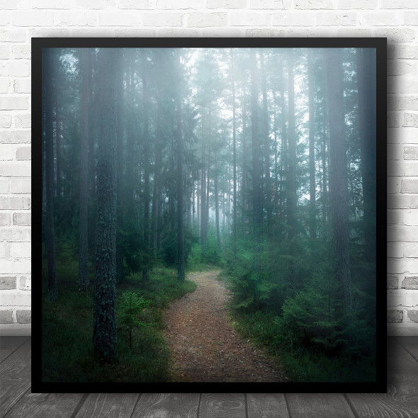 Forest Landscape Trees Tree Path Way Road Goal Destination Fog Square Wall Art Print