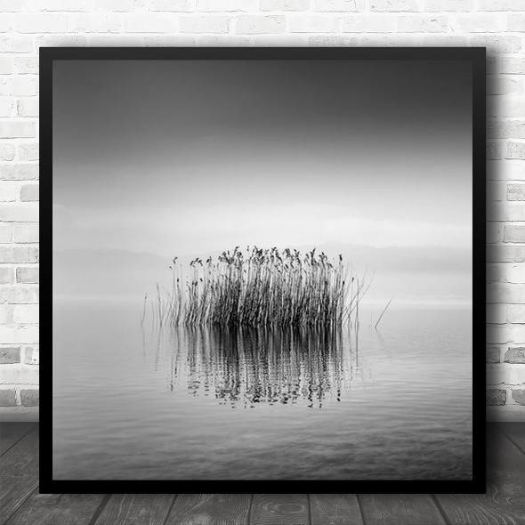 Lake Water Volvi Greece Mood Reed Reflection High-Key Seascape Square Wall Art Print