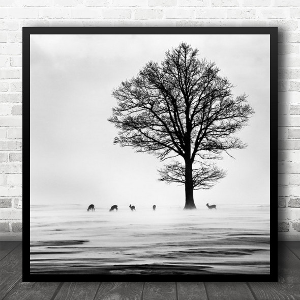 Latvia Stag Deer Roe Wildlife Wild Animals Tree Lonely Winter Square Wall Art Print