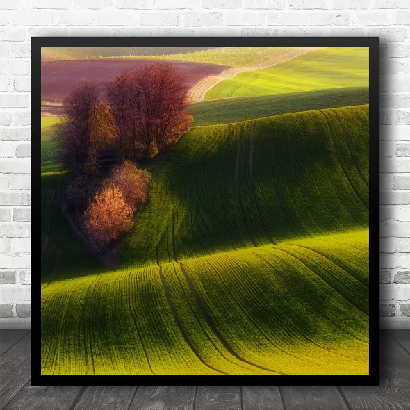 Moravia Green Fields Landscape Trees Agriculture Field Hills Square Wall Art Print