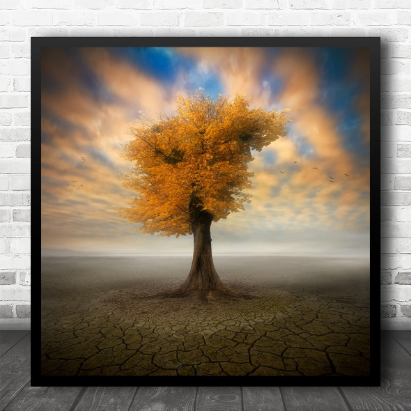 Tree Lonely Lonely Alone Loneliness Isolation Desolation Dry Square Wall Art Print