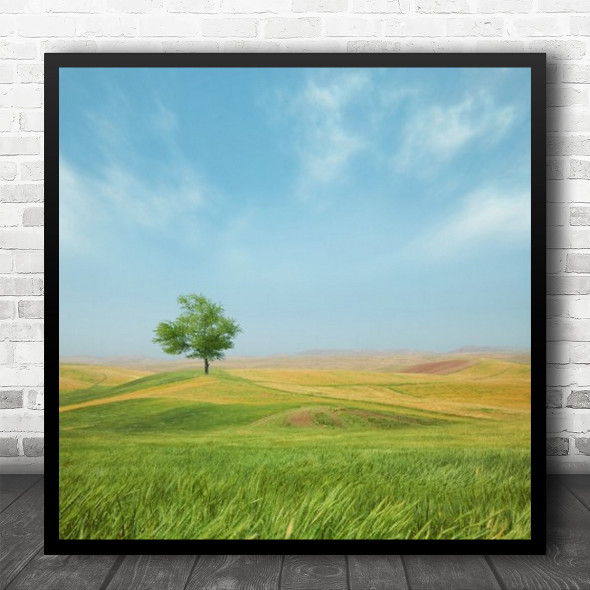 Lonely Tree Soft Landscape Summer Alone Isolation Desolation Square Wall Art Print