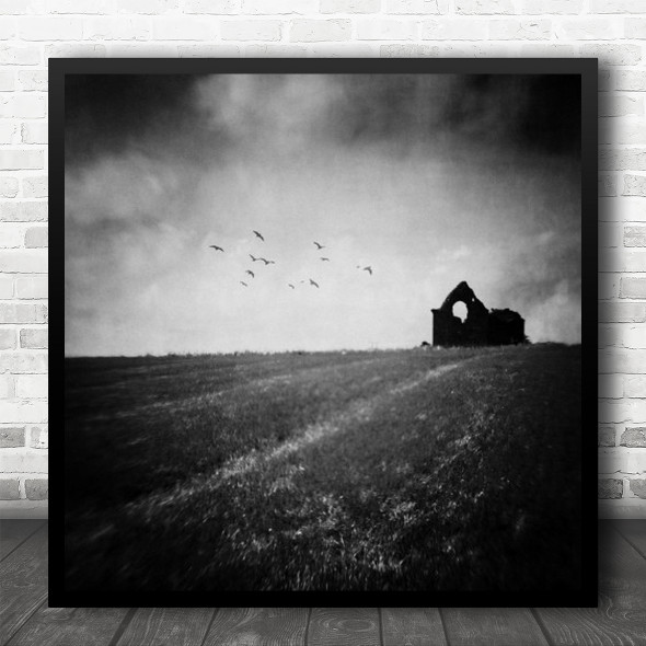 Edited Black And White Low-Key Birds Sky Field Grass Shadow Square Wall Art Print