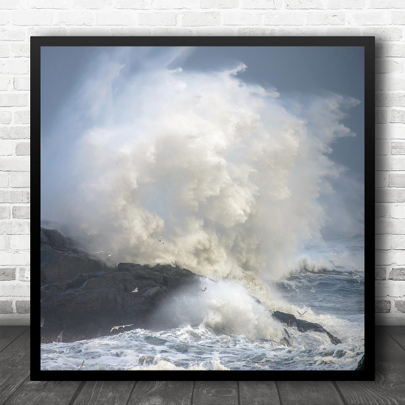 Landscape Water Wave Splash Sea Ocean Seagull Seagulls Bird Square Wall Art Print