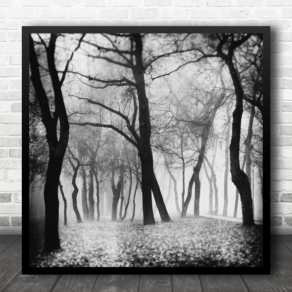 Forest Path Bench Landscape Trees Park Garden Mystique Square Wall Art Print