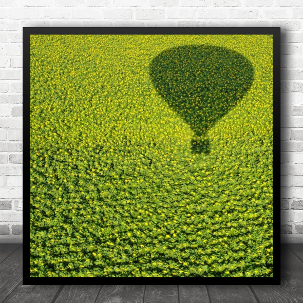 Sunflower Flowers Shadow Abstract Hot Air Balloon Flying Square Wall Art Print