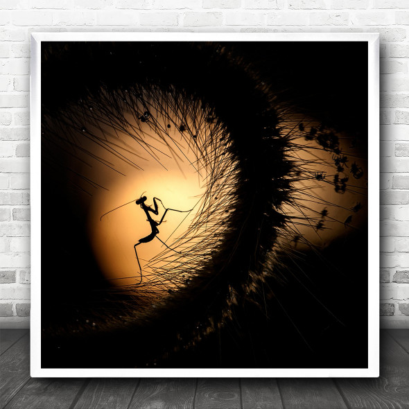 Macro Mantis Spider Insects Baby Spiders Bugs Light Standing Square Art Print