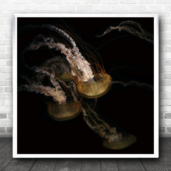 Dark Underwater Jellyfish Sealife Marine Nature Square Wall Art Print