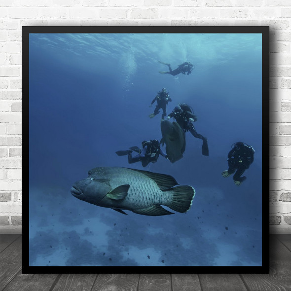 Underwater Scuba Diving Nature Sealife Marine Square Wall Art Print