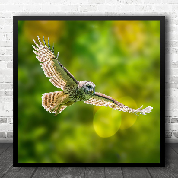 Still Life Bokeh Flying Owl Nature Green Square Wall Art Print